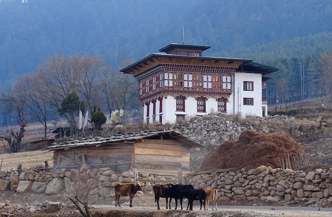 Beautiful Bhutanese architecture in the Punakha Valley - as neat, prosperous and well-organised as a Swiss valley - only this one's in the Himalaya!