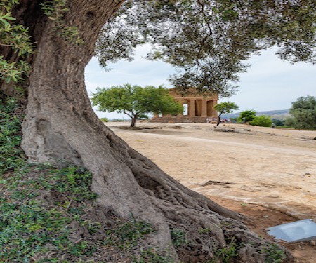 Explore Sicily Trip